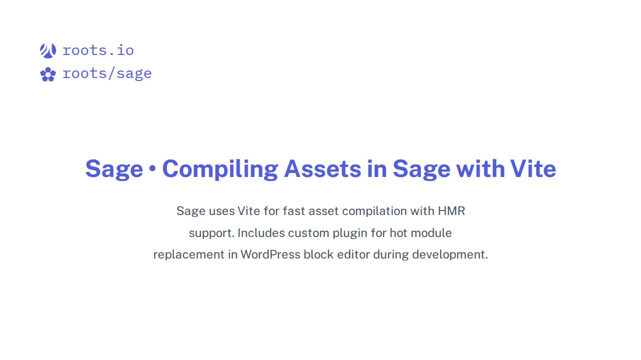 Compiling Assets in Sage with Vite | Sage Docs | Roots